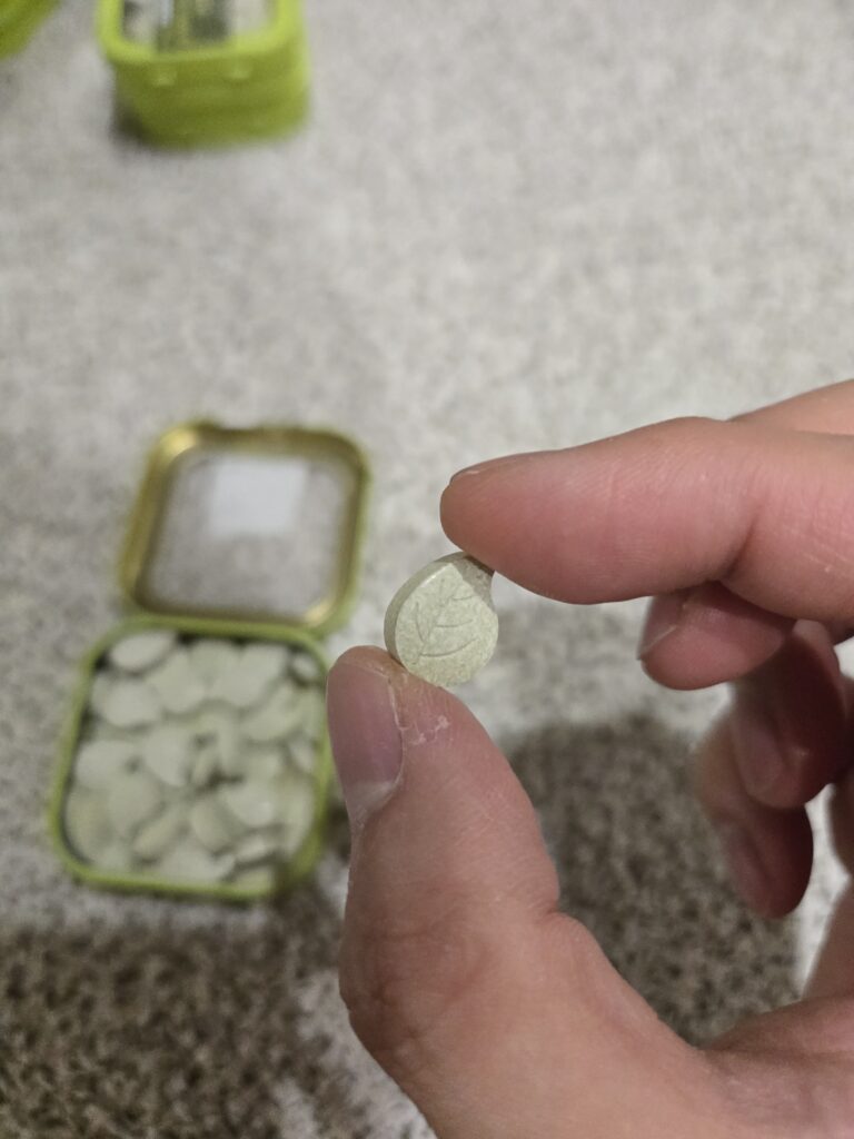 트레이더조 Green Tea Infused Mints 틴케이스를 손으로 들고 있는 모습